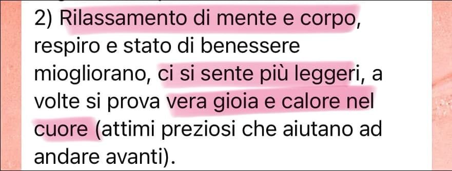 IMG 5710 e1759055491398