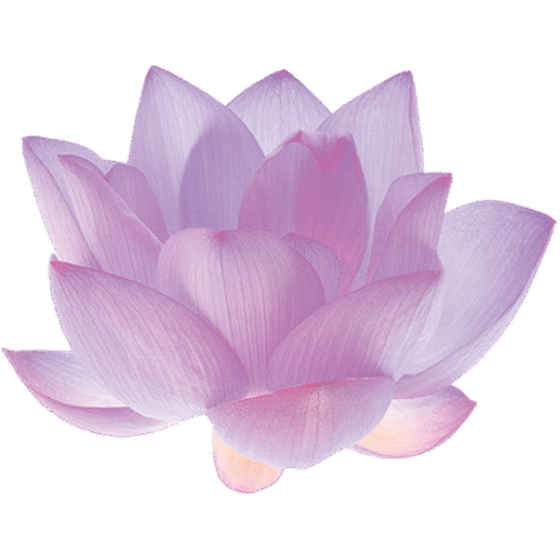 cropped cropped IMG 5703