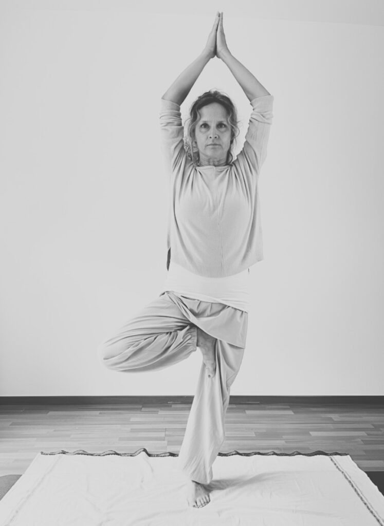 Diseno sin titulo 1 1