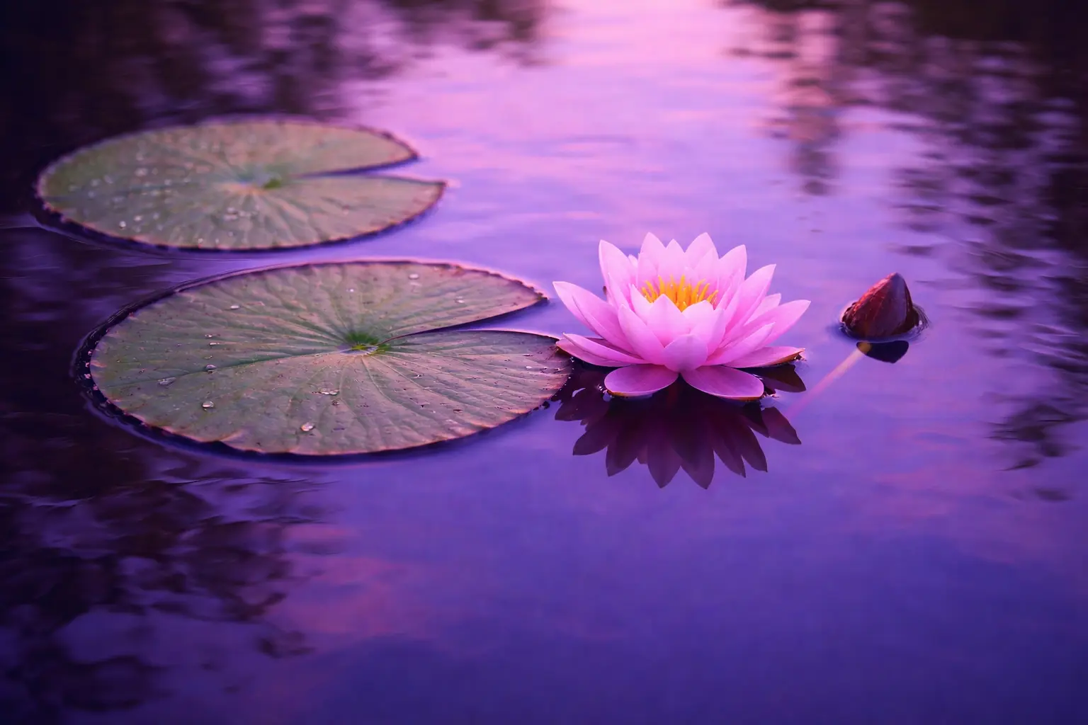 ChatGPT Image 7 mar 2026 21 22 58